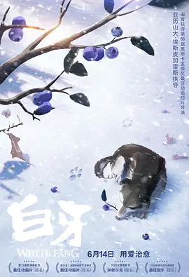 国产专区免费